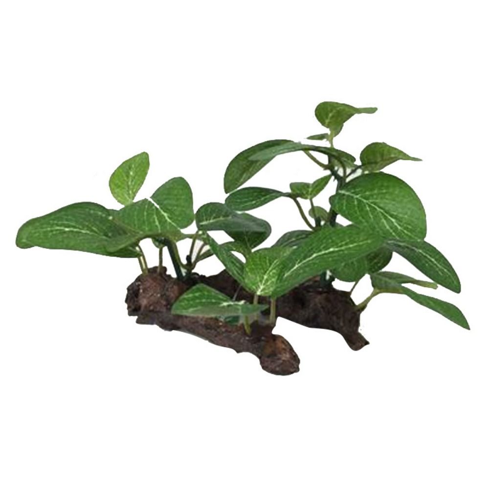 Planted Aquarium Jar - Креативные пластиковые декорации для аквариума: реалистичные