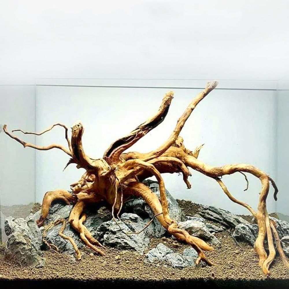 Aquarium Planted Tree - Декоративный пней для аквариума 20-25 см,