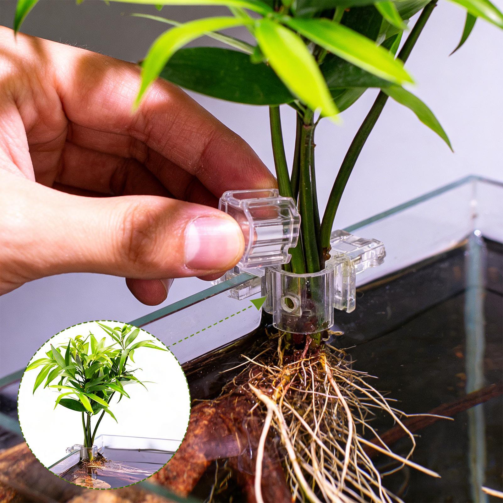 Aquarium Plant Diseases - Набор из 6 прозрачных подставок для