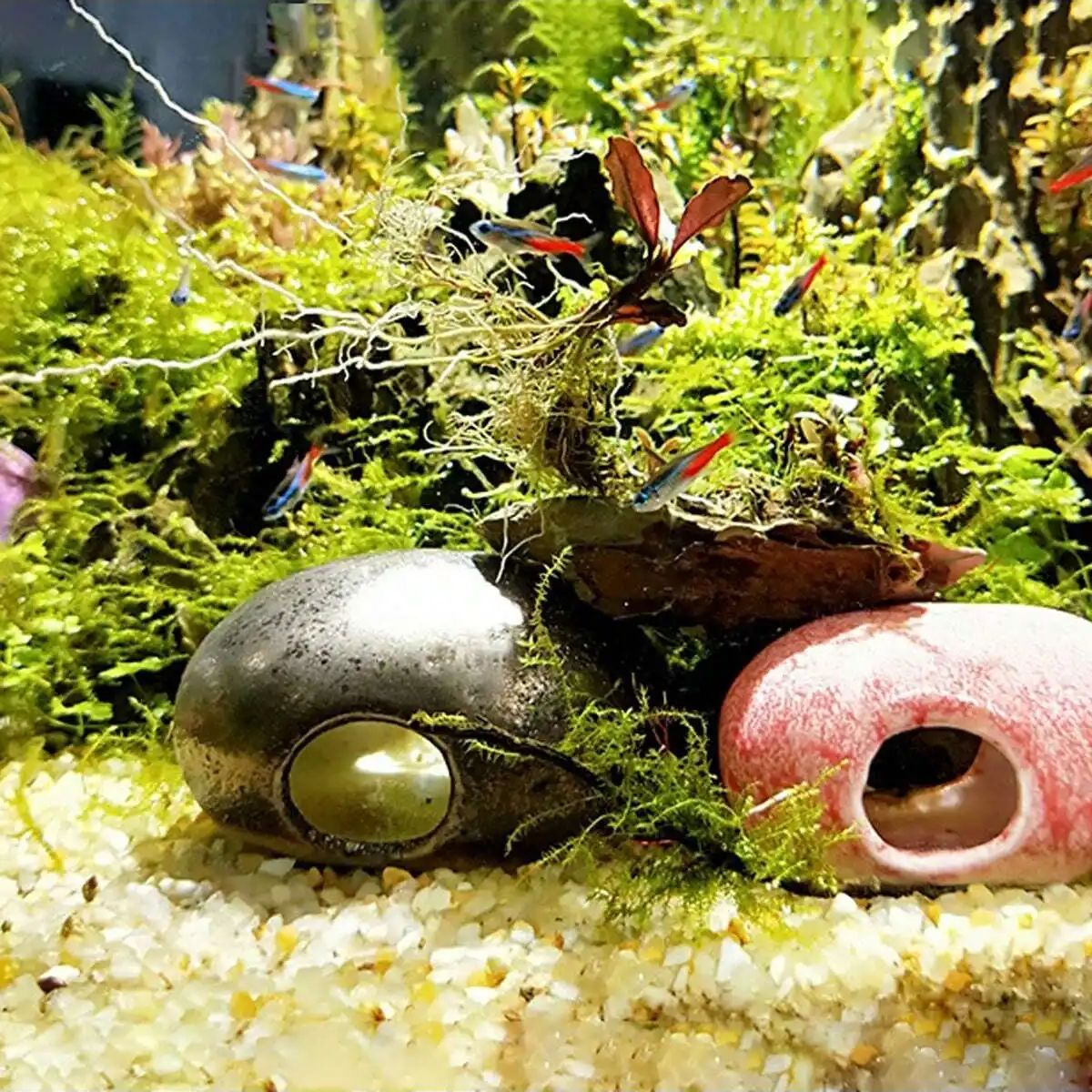 1 шт.-250 г натуральные криста – обзор и цена Aquarium Planted Soil