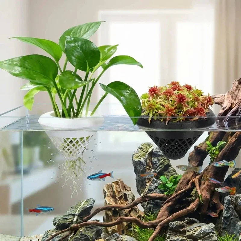 Плавающий горшок для аквариумн – обзор и цена Planted Aquarium Jar