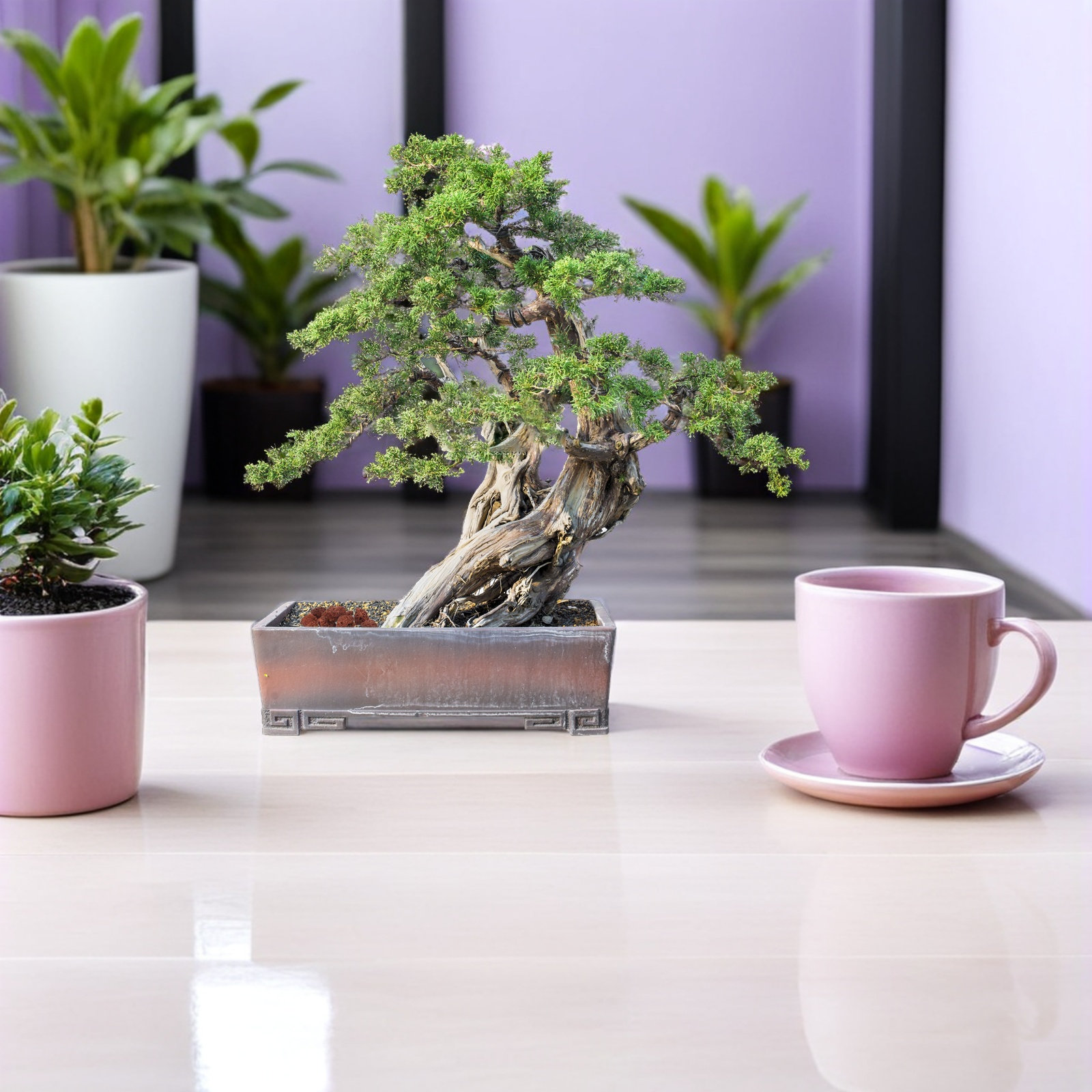 1 упаковка крупных красных вул – обзор и цена Aquarium Planted Soil