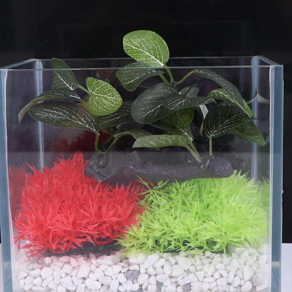 Искусственное растение Фикус ( – обзор и цена Planted Aquarium Jar