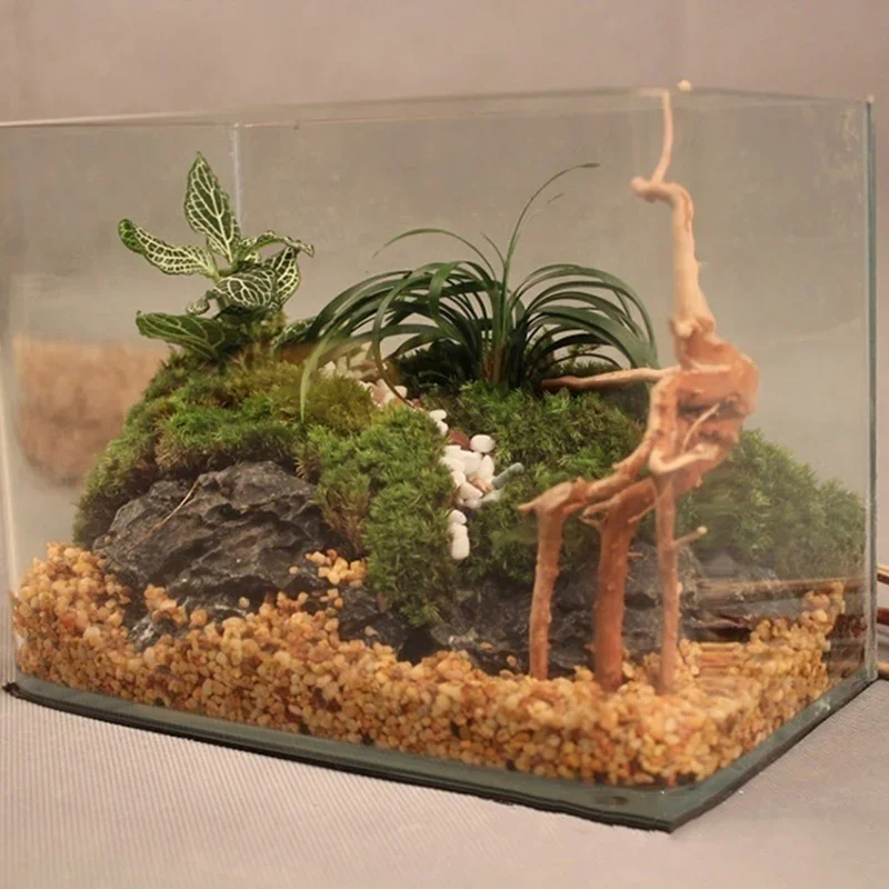 Натуральный ствол дерева Drift – обзор и цена Aquarium Planted Soil