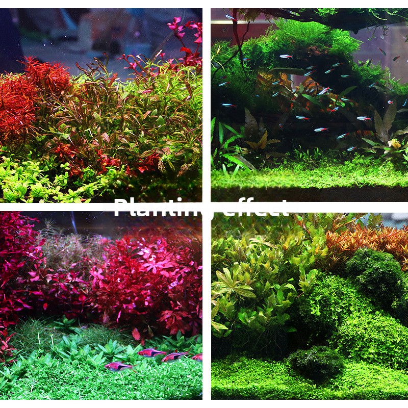 SYSENCIAGA посаженная аквариум – обзор и цена Aquarium Planted Soil
