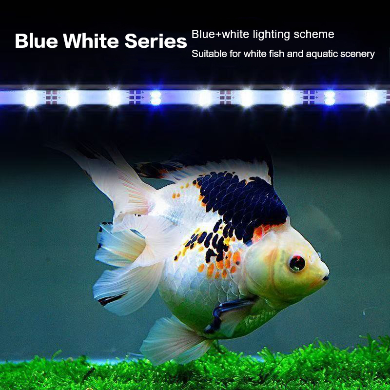 17-47 см USB-разъем для аквари – обзор и цена Aquarium Plant Diseases