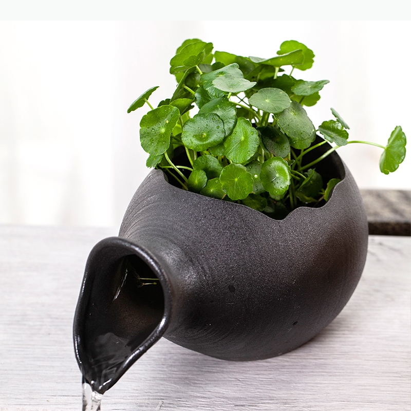Керамические аквариумы для рыб – обзор и цена Planted Aquarium Jar