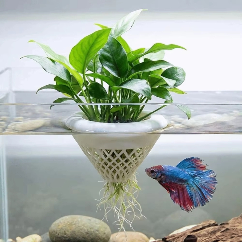 Плавающий горшок для аквариумн – обзор и цена Planted Aquarium Jar