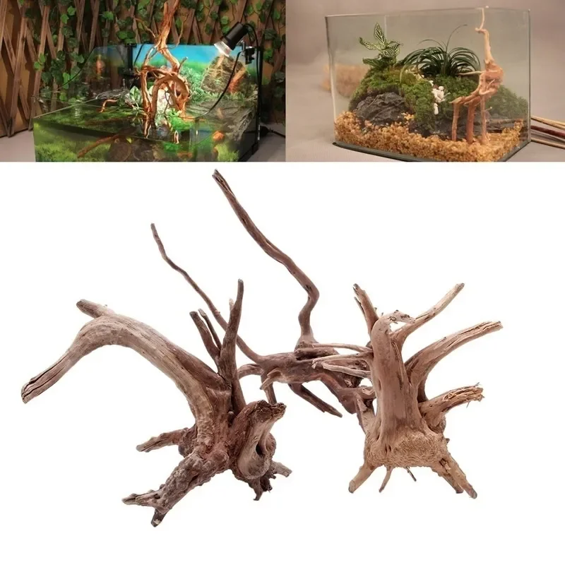 Натуральный коряга из ствола д – обзор и цена Aquarium Planted Soil