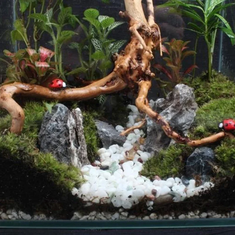 Натуральный коряга из ствола д – обзор и цена Aquarium Planted Soil