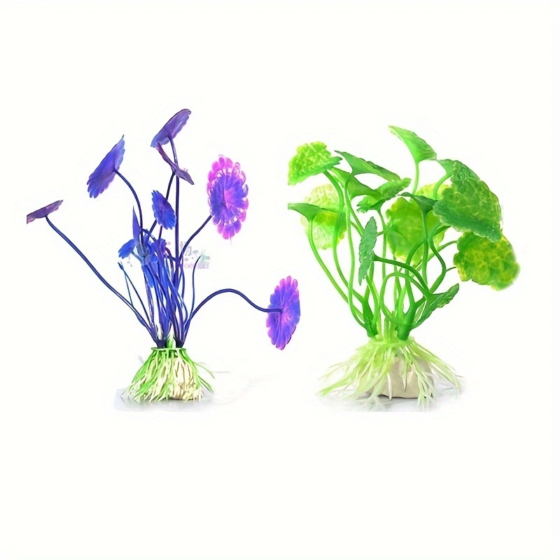 Искусственные подводные пласти – обзор и цена Aquarium Plant Diseases