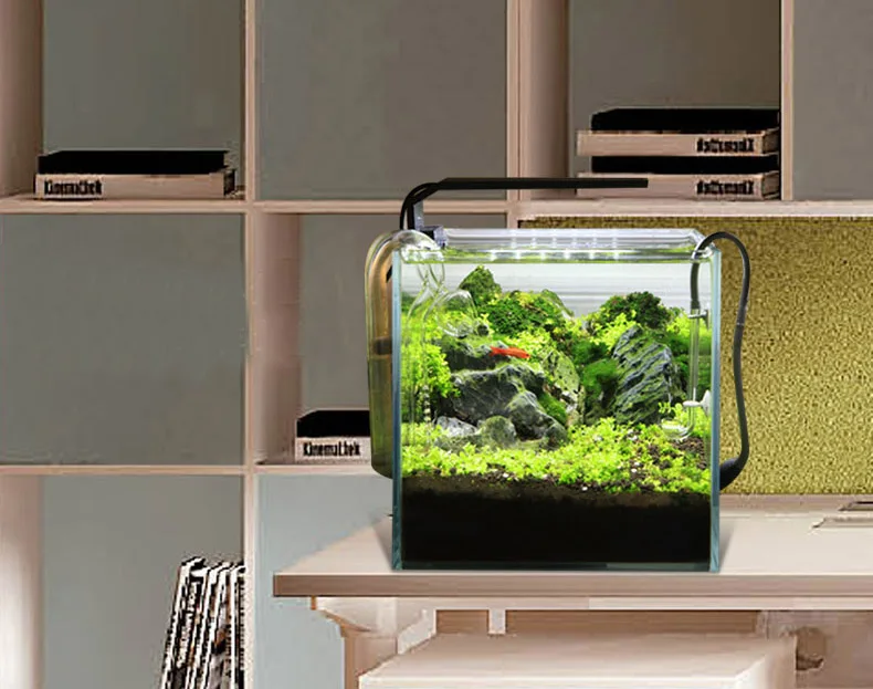 Chihiros C серии ADA стиль для – обзор и цена Aquarium Plant Diseases