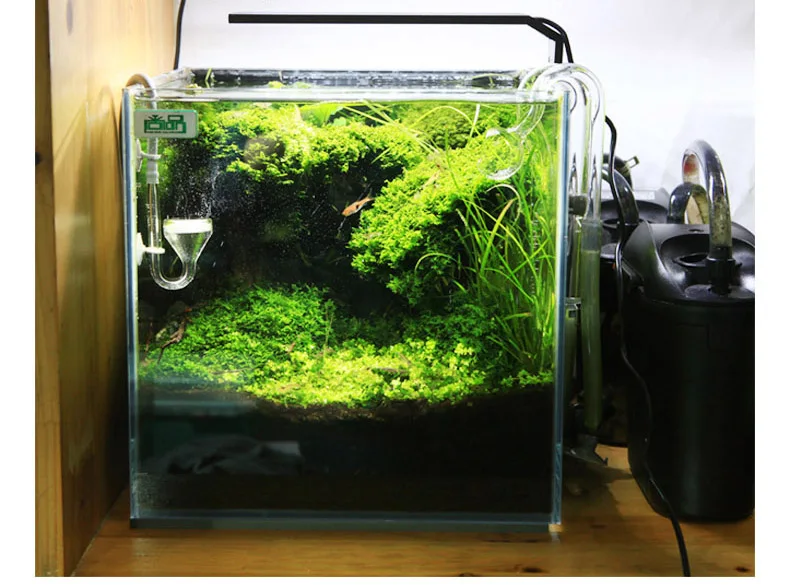 Chihiros C серии ADA стиль для – обзор и цена Aquarium Plant Diseases