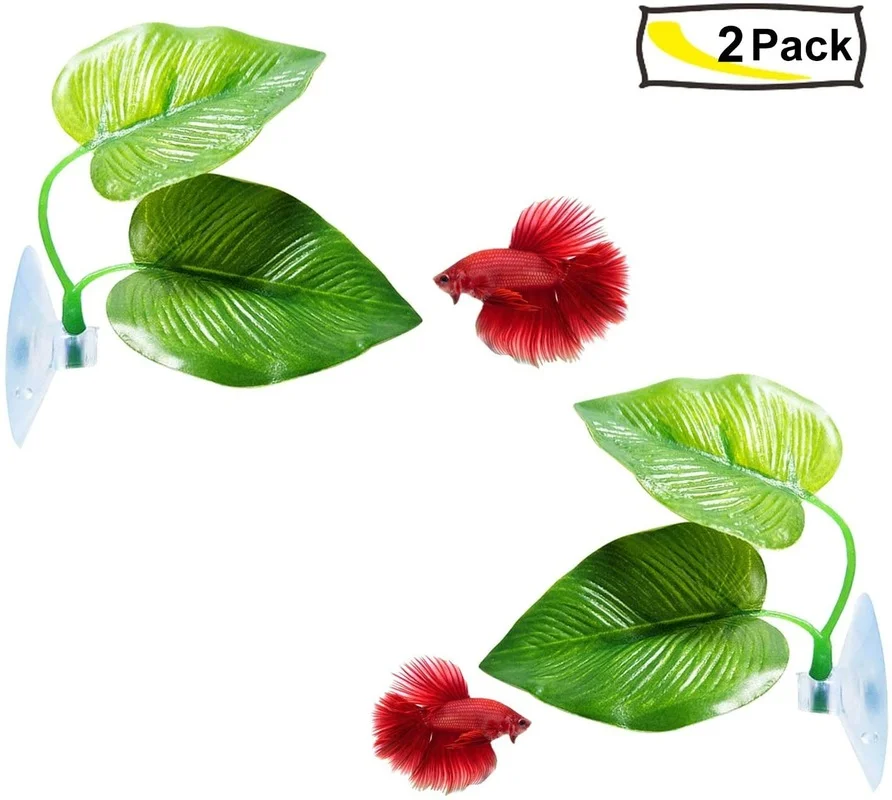 Гамак из листьев рыбы Бетта, и – обзор и цена Aquarium Planted Tree