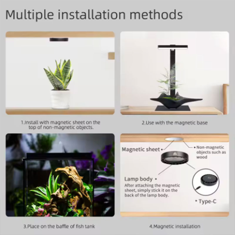 Лампа для растений WEEK AQUA M – обзор и цена Aquarium Plant Diseases