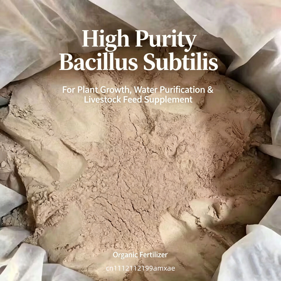 Высокоактивный порошок Bacillu – обзор и цена Aquarium Planted Soil