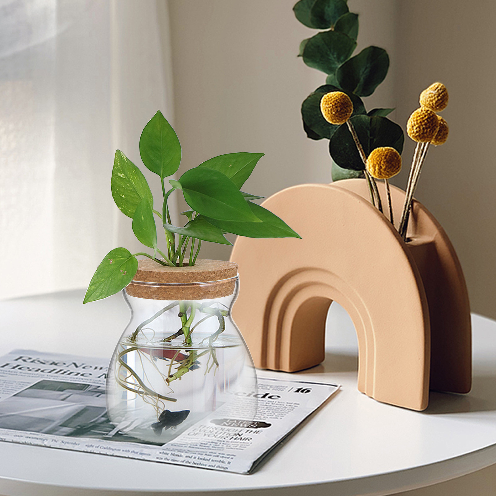 Стеклянная емкость для террари – обзор и цена Planted Aquarium Jar