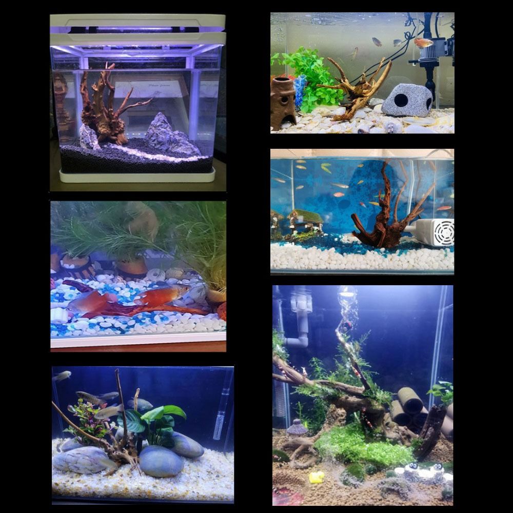 Декоративный пней для аквариум – обзор и цена Aquarium Planted Tree