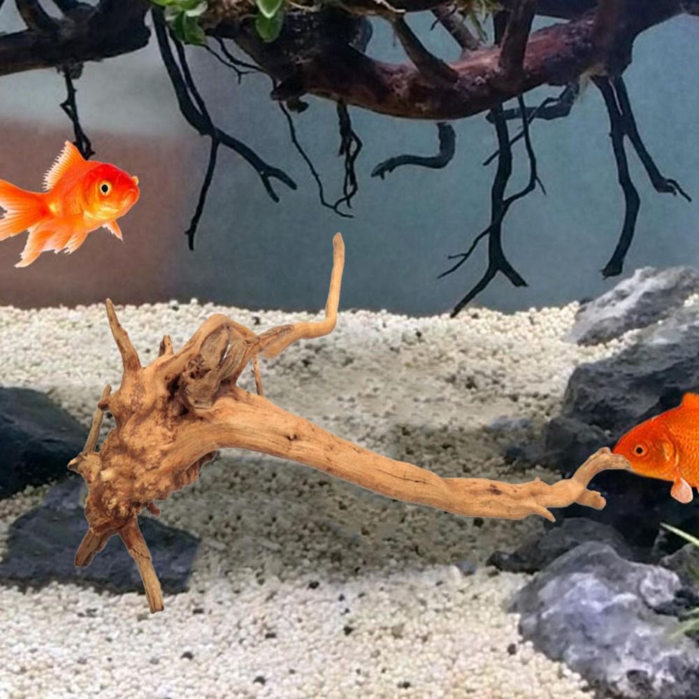 Декоративный пней для аквариум – обзор и цена Aquarium Planted Tree
