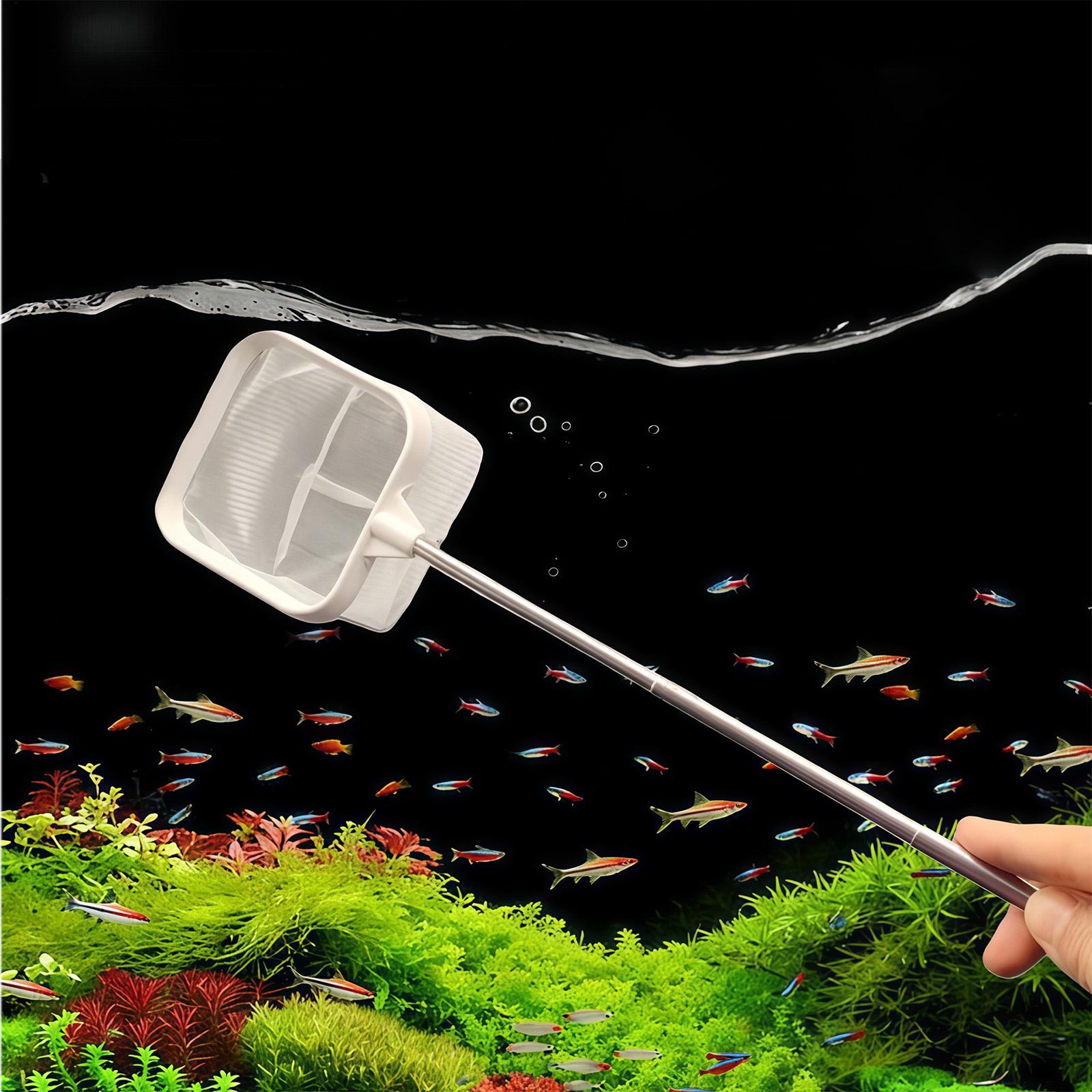 Удлиняемый сачок с длинной руч – обзор и цена Aquarium Planted Tree