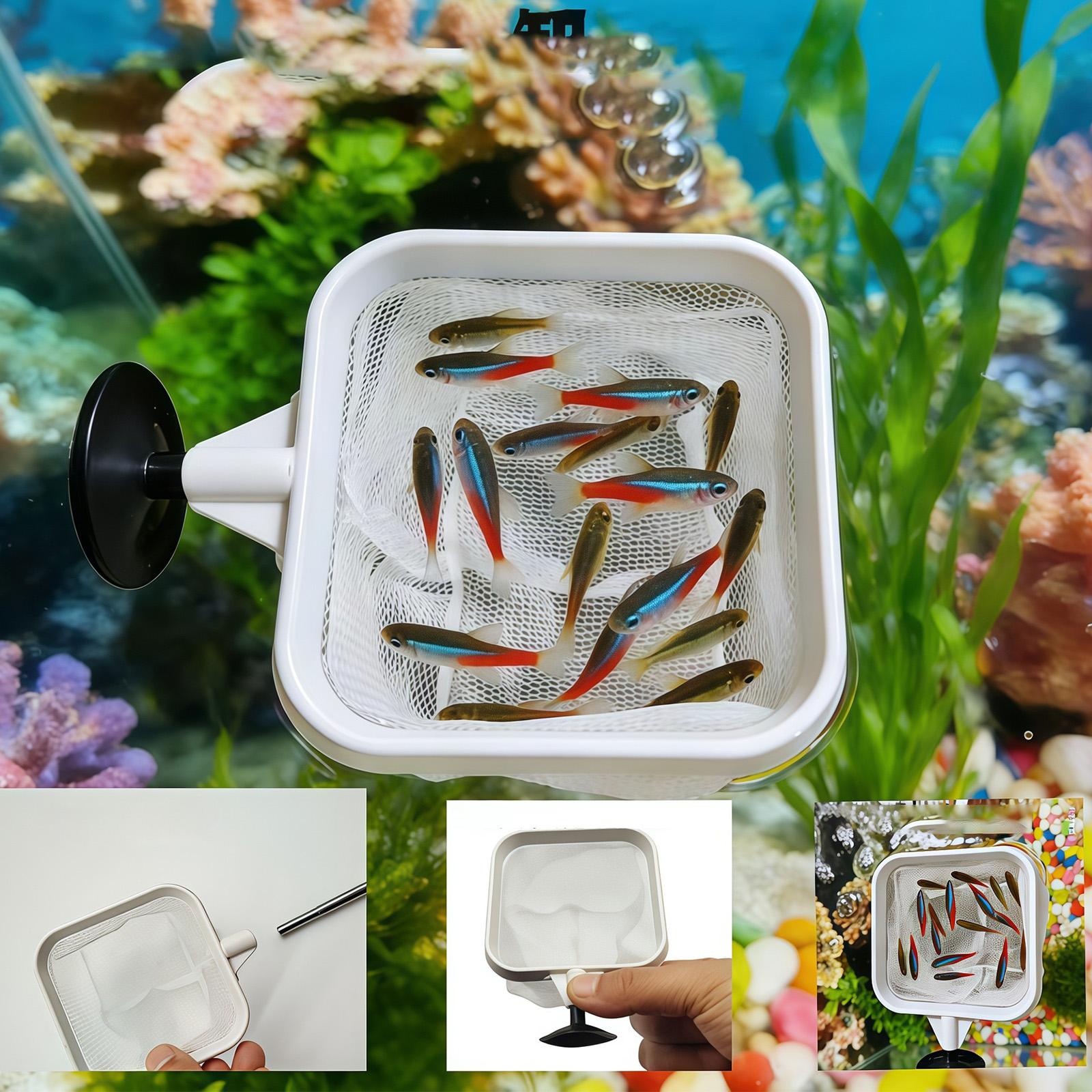 Удлиняемый сачок с длинной руч – обзор и цена Aquarium Planted Tree