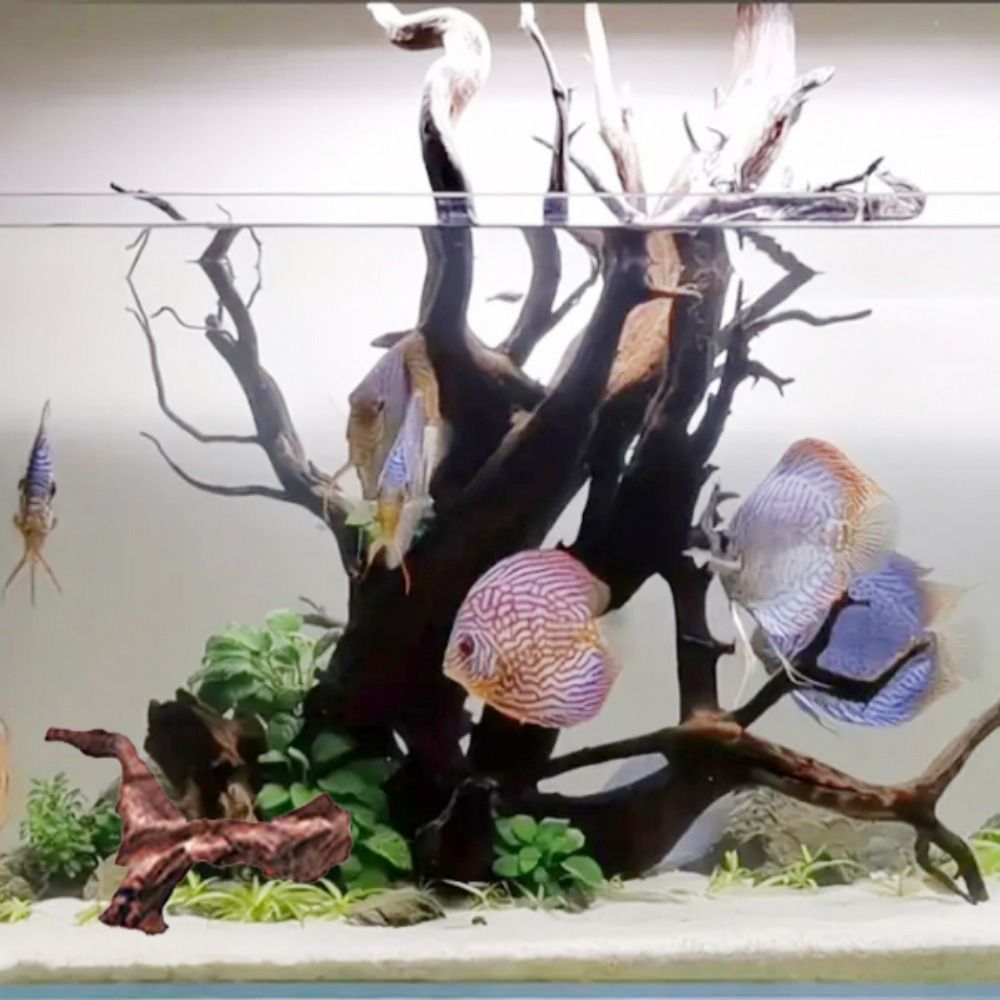 Креативные коряги из кораллово – обзор и цена Aquarium Planted Soil
