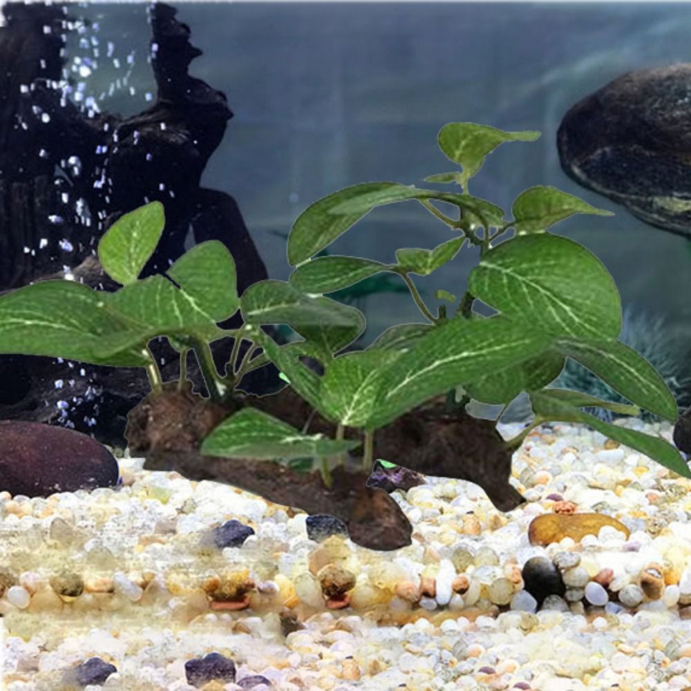 Шелковый пластик зеленый для д – обзор и цена Planted Aquarium Jar