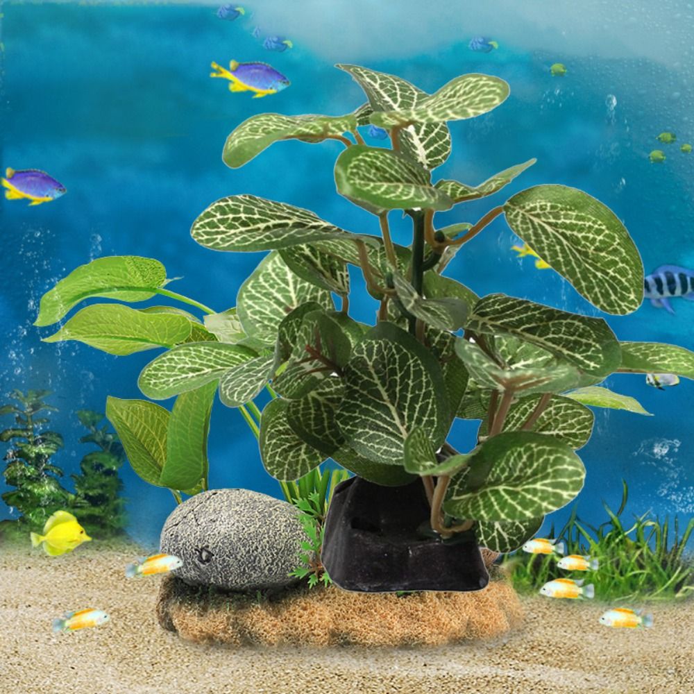 Шелковый пластик зеленый для д – обзор и цена Planted Aquarium Jar