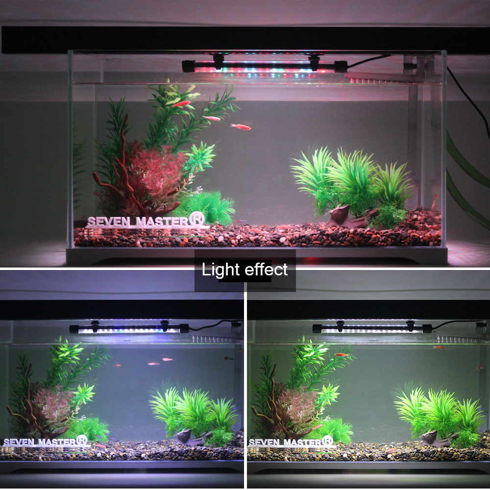 Светодиодный светильник для ак – обзор и цена Aquarium Plant Diseases
