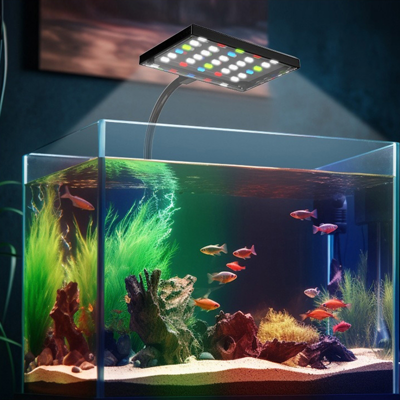 Аквариум USB светодиодный свет – обзор и цена Aquarium Plant Diseases