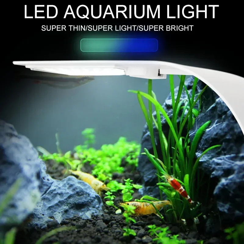 Ультратонкий светодиодный свет – обзор и цена Aquarium Plant Diseases