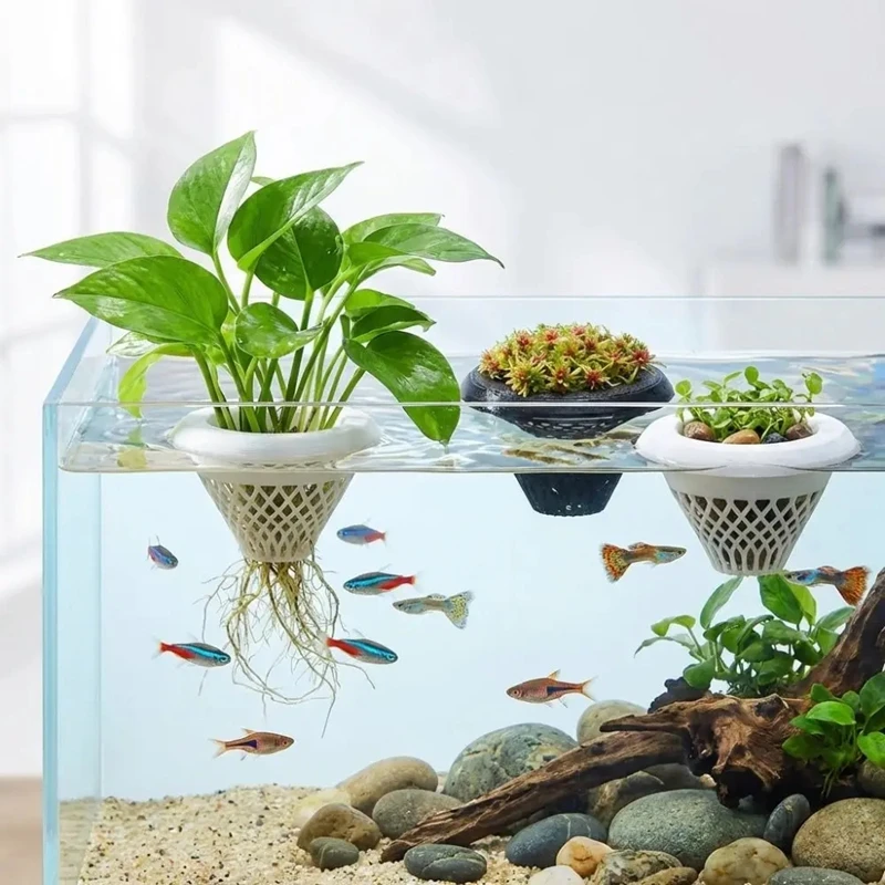 Плавающий горшок для аквариумн – обзор и цена Planted Aquarium Jar