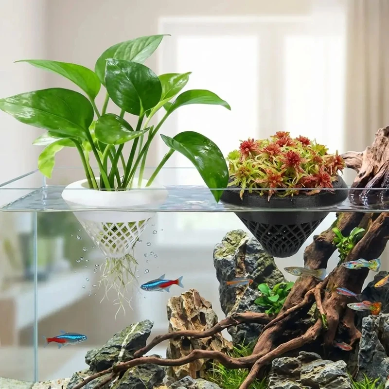 Плавающий горшок для аквариумн – обзор и цена Planted Aquarium Jar