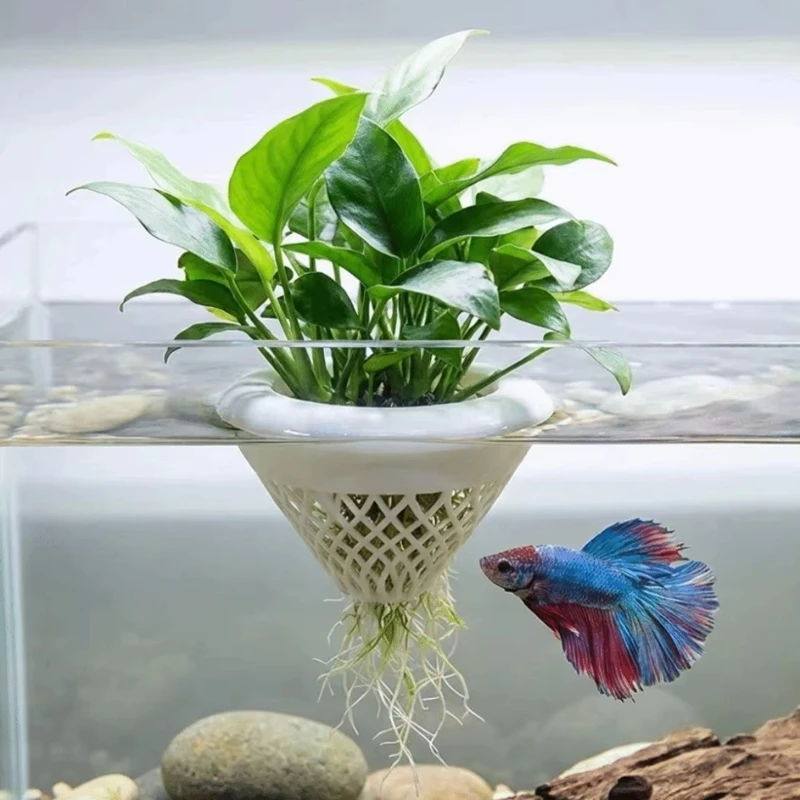 Плавающий горшок для аквариумн – обзор и цена Planted Aquarium Jar