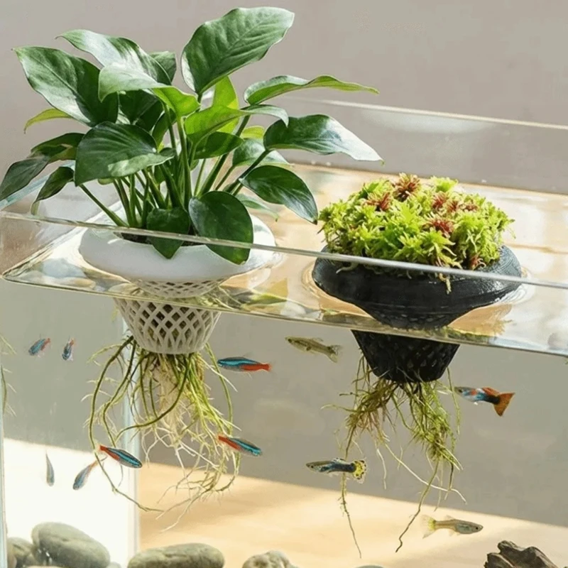 Плавающий горшок для аквариумн – обзор и цена Planted Aquarium Jar