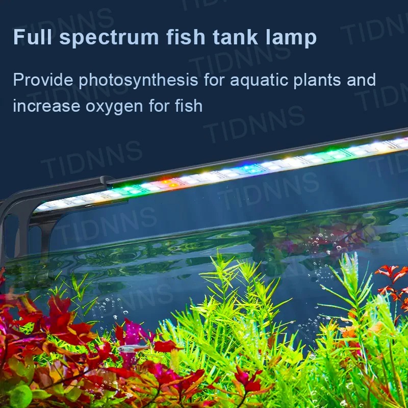Светодиодный светильник для ак – обзор и цена Aquarium Plant Diseases