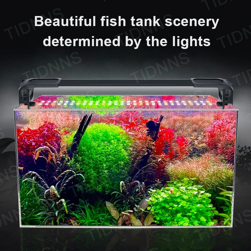 Светодиодный светильник для ак – обзор и цена Aquarium Plant Diseases