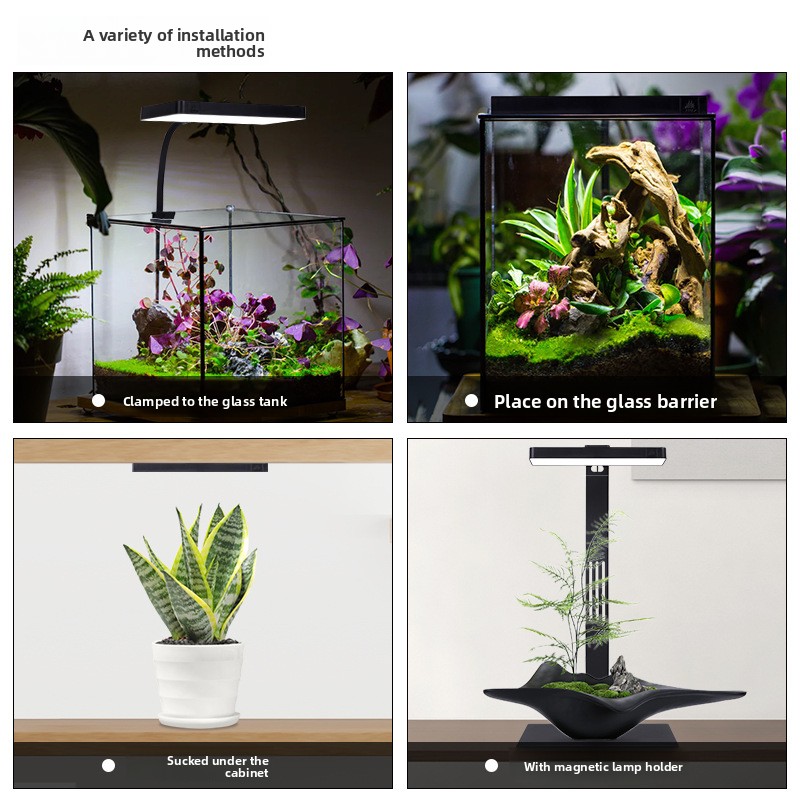 Week Aqua Mini9Pro Магнитный з – обзор и цена Planted Aquarium Jar